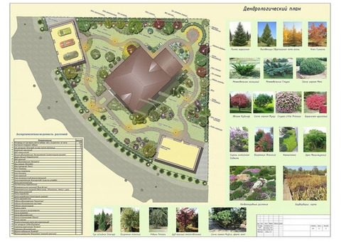 Выполнение «Дендрологической части» проектной документации от ГК ОКС