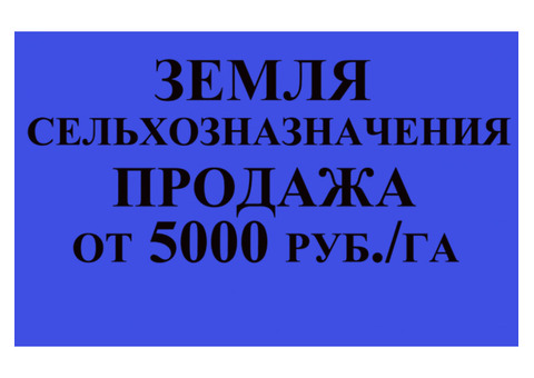 Продажа земель сельхозназначения по очень низкой цене