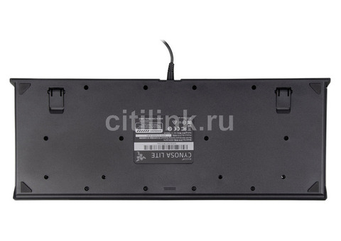 Характеристики клавиатура Razer Cynosa Lite, USB, черный [rz03-02741500-r3r1]