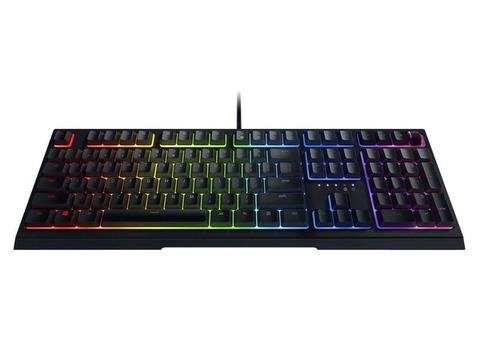 Характеристики клавиатура Razer Ornata V2, USB, c подставкой для запястий, черный [rz03-03380700-r3r1]