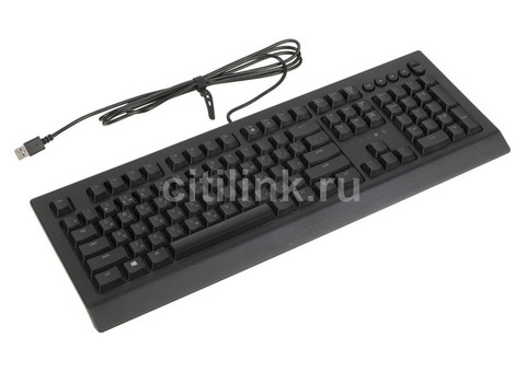 Характеристики клавиатура Razer Cynosa V2, USB, черный [rz03-03400700-r3r1]