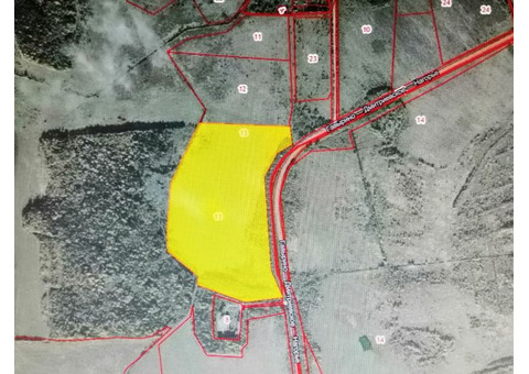 Маншино. Участок 45,6 Га. Хорошие подъездные пути. Красивое, природное место.