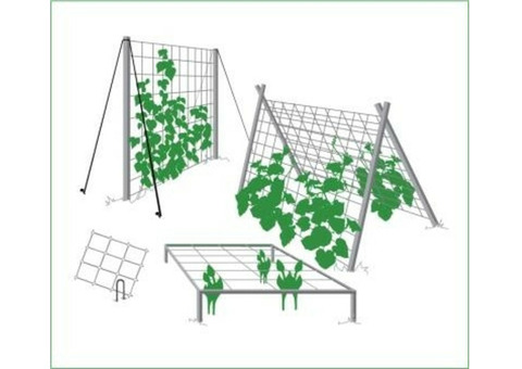 Сетка шпалерная для огурцов Протэкт Ф-170/2/10
