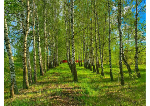 Д. Железня. Участок 10 соток земли населённых пунктов