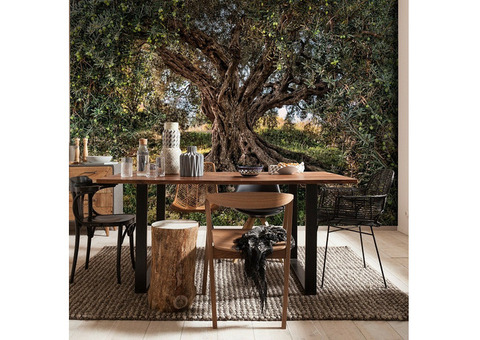 Фотообои бумажные Komar Olive Tree 8-531 3,68х2,54 м