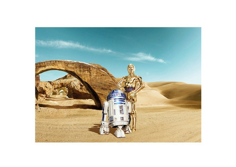 Фотообои бумажные Komar Star Wars Lost Droids 8-484 3,68х2,54 м