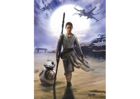 Фотообои бумажные Komar Star Wars Rey 4-448 1,84x2,54 м