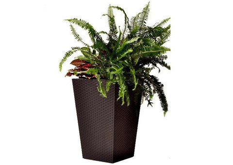 Кашпо для цветов Keter Rattan Planter L 535х535х735 мм Виски коричневый