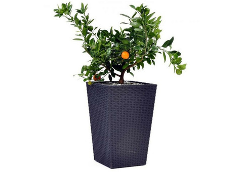 Кашпо для цветов Keter Rattan Planter M 385х385х570 мм Антрацит