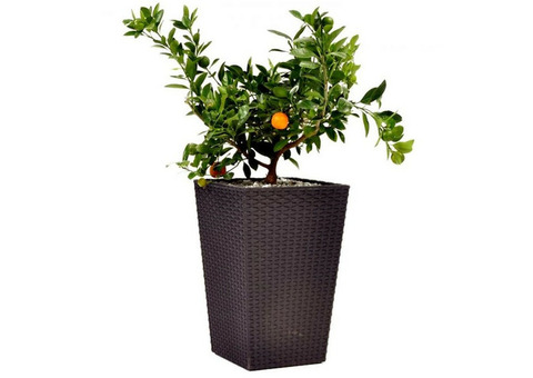 Кашпо для цветов Keter Rattan Planter S 285х285х435 мм Виски коричневый