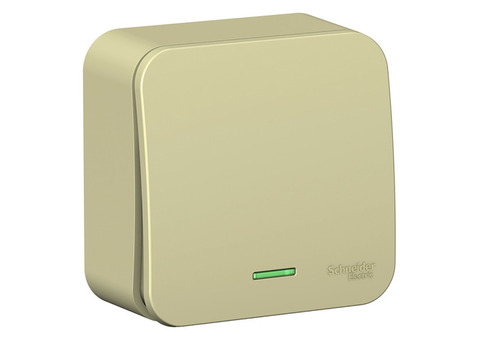 Выключатель Schneider Electric Blanca BLNVA101117 одноклавишный 10 А IP 20