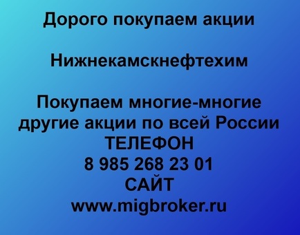 Покупаем акции Нижнекамскнефтехим