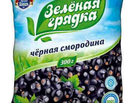 Смородина Черная ЗЕЛЁНАЯ ГРЯДКА с/м 300 г Кол-во штук в коробке - 20 шт по оптовым ценам