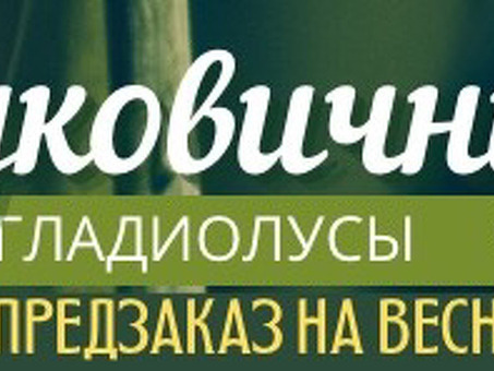 Алёнка. Программа для посредников и СП, 29 31 садовод вконтакте отзывы о вещах .