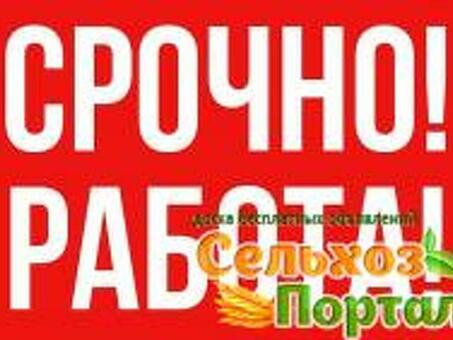 В Минстрое заявили о дефиците кадров - Свободная пресса - Новости России Новости России сегодня . Новости. Новости сегодня Новости России за 6 июня 2023 года. Новости РФ Россия. Россия новости Новости России. Новости о России и мире. Новости из России и м