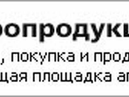 У нас 15 га земли и что бизнесом заняться . Цены, новости , аналитика , 15 га земли.