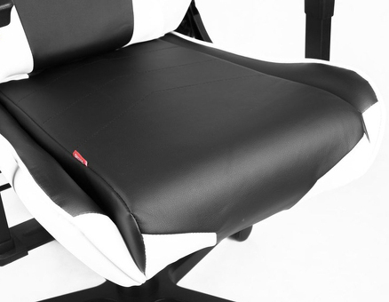 Игровое кресло DXRacer Racing OH/RE0/NW ( чёрно-белый ) (OH/RE0/NW)