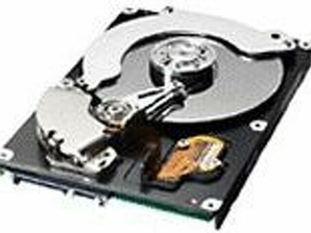 Samsung жесткий диск Hard Disk Drive SL-HDK4001, 320 ГБ (SL-HDK4001/SEE)