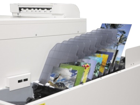 Epson сортировщик формата A4 (C12C815401)