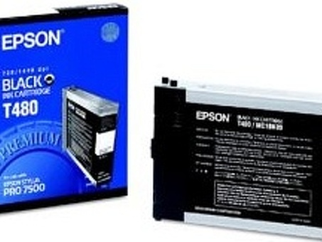 Картридж Epson T480 (black) 220 мл (C13T480011)