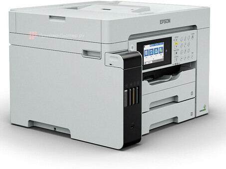 МФУ Epson M15180 (C11CJ41408)