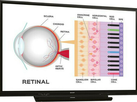 Интерактивная панель Sharp PN-65HC1 (PN65HC1)