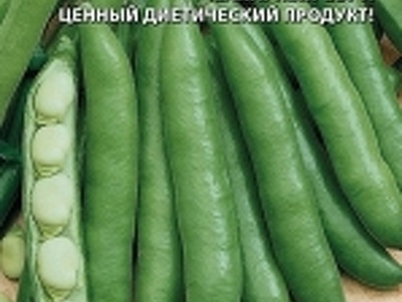 Купить конскую фасоль (Faba vulgaris moench), конскую фасоль.