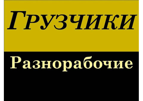 Требуются разнорабочие граждане РФ