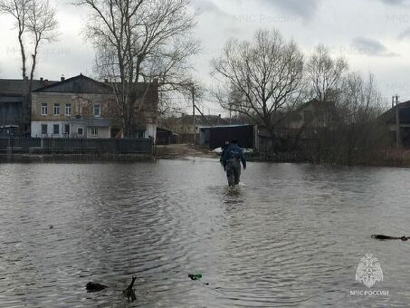 Приказ МЧС № 444 от 16 октября 2017 года. Боевой устав пожарной охраны - часть 1, приказ 442 МЧС России.