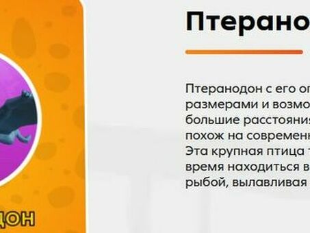 Сеть магазинов Дружный предлагает на выбор одну из двух акций. Как решить, акция все удачно складывается.