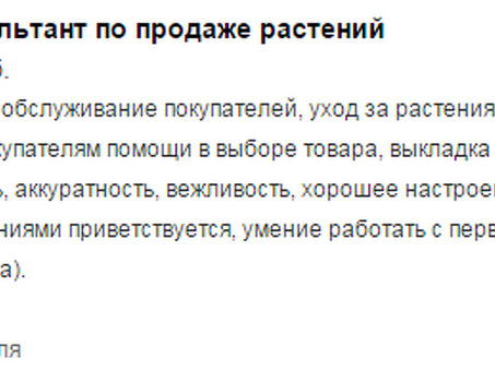 Как быстро и эффективно подать объявление о работе на Hh ru: советы и рекомендации