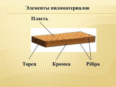 Что такое древесина: полное руководство