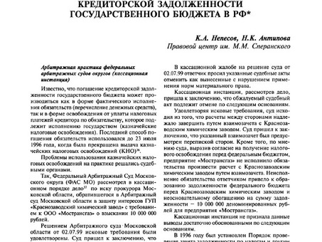 Несанкционированная задолженность: что это такое и как избежать её возникновения