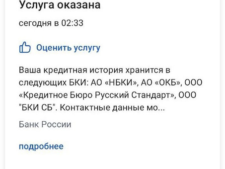 Перечень БКИ в госуслугах: что это и как им пользоваться