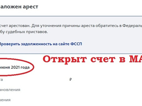 Может ли судебный исполнитель получить доступ к доходам индивидуального предпринимателя?