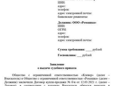 Возражения против вынесения судебных приказов в арбитраже: примеры