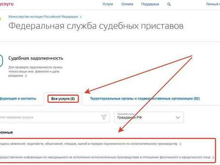 Как подать документы в суд с помощью административных услуг