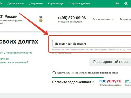 Используйте государственные услуги для проверки долгов по фамилии