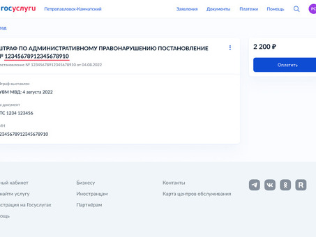 Как проверить статус оплаты государственных услуг