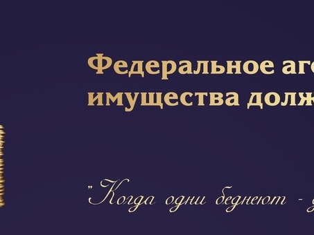 Аукционы по продаже имущества банкротов: ваш шанс выиграть сделку