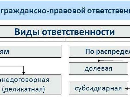 Виды ответственности: солидарная ответственность и субсидиарная ответственность