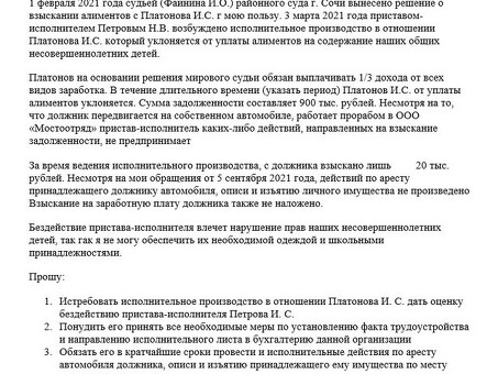 Роль старших судебных приставов-исполнителей в обслуживании судебного исполнителя