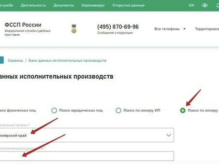 Как найти информацию об исполнительном производстве по номеру дела