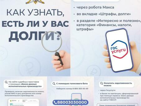 Государственные услуги или базы данных ФССП: что лучше?