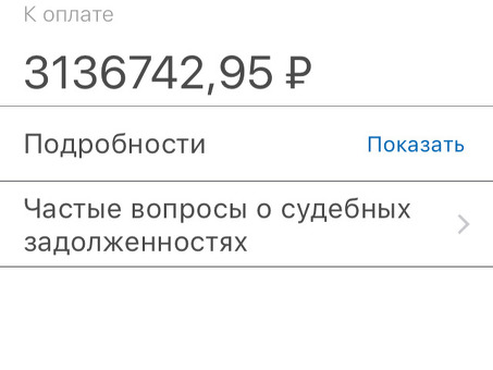 Государственные услуги в долг: роль судебных работников