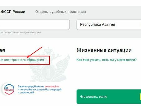 Подача жалобы в ФССП через Государственную службу