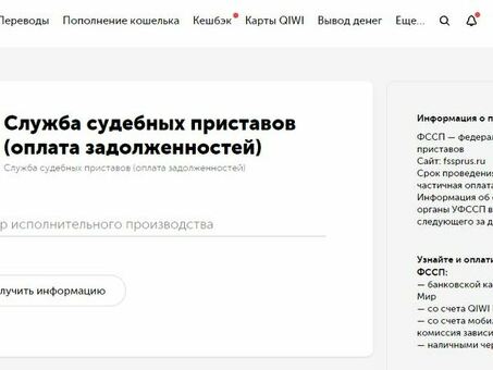 Добровольные выплаты в рамках исполнительного производства