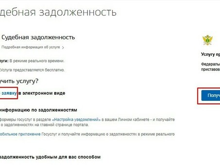 Обязательства по выплате алиментов на сайте Федеральной службы судебных приставов-исполнителей.