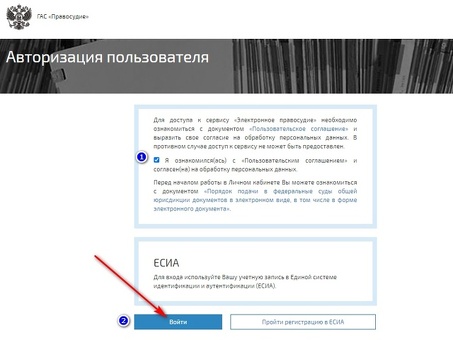 GAS Подача иска через судебные органы