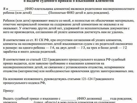 Процесс подачи заявления о выдаче судебного приказа